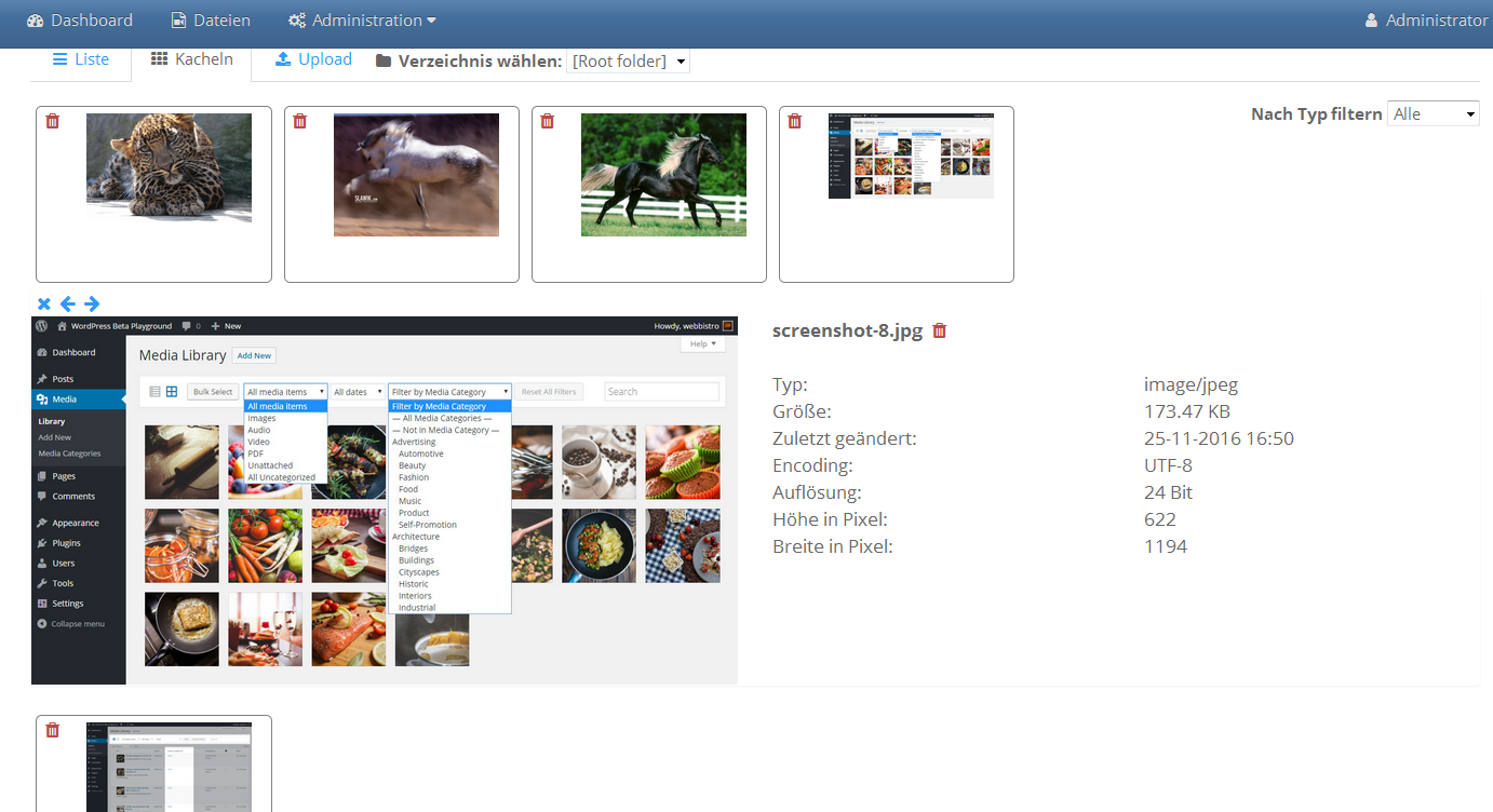 Detailansicht in der Kachelansicht